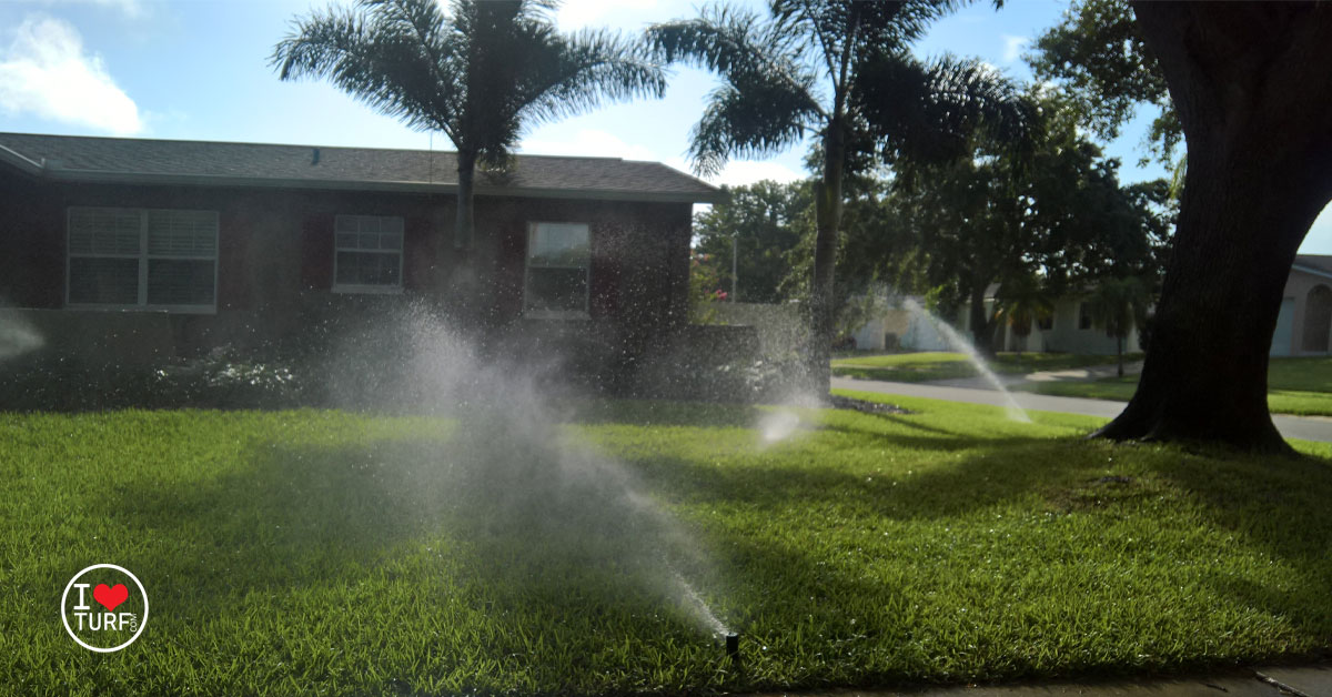 St Augustine lawn watered with Irrigation