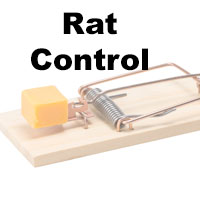 Mouse Trap with words Rat Control