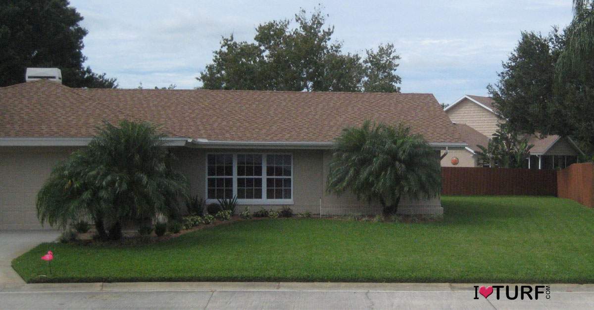 St Augustine Lawn and a House