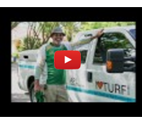 Lawns Don't Pollute They Depollute