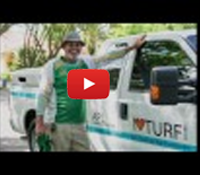 Lesson #1 - The Best Mowing Height for St Augustine Turf Grass Lawn